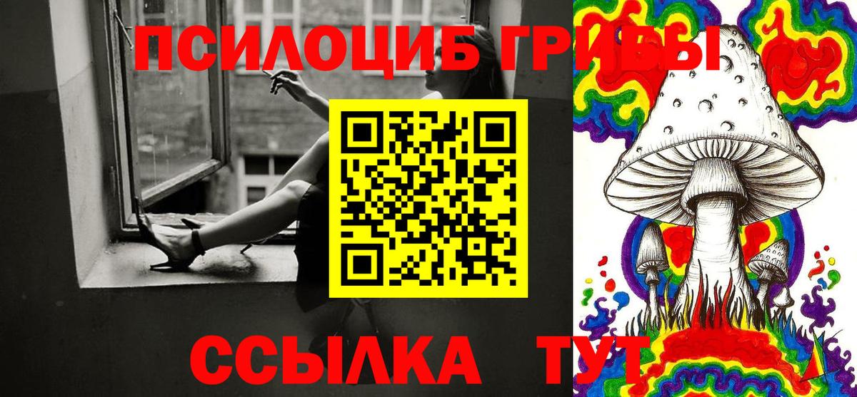 Псилоцибиновые грибы Psilocybine cubensis Саянск
