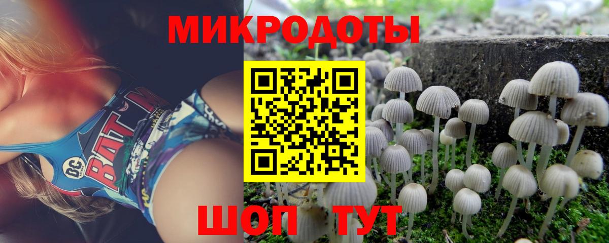 Галлюциногенные грибы Cubensis  Галлюциногенные грибы прущие грибы  Вход с VPN  Саянск 